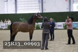 25R13_00993 thumbnail