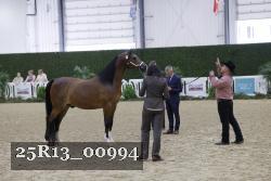 25R13_00994 thumbnail