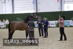 25R13_00995 thumbnail