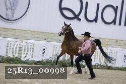 25R13_00998 thumbnail