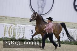 25R13_00999 thumbnail
