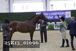 25R13_01006 thumbnail
