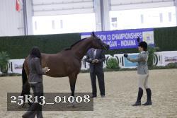 25R13_01008 thumbnail