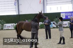 25R13_01009 thumbnail