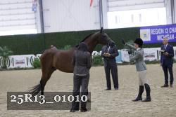25R13_01010 thumbnail