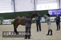 25R13_01011 thumbnail