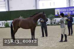 25R13_01012 thumbnail