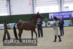 25R13_01013 thumbnail