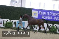 25R13_01014 thumbnail