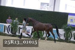 25R13_01015 thumbnail