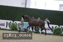 25R13_01016 thumbnail