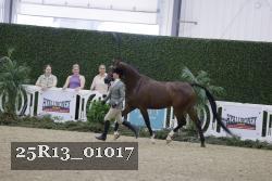 25R13_01017 thumbnail