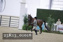 25R13_01018 thumbnail
