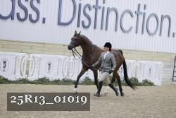 25R13_01019 thumbnail