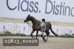 25R13_01020 thumbnail