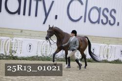 25R13_01021 thumbnail