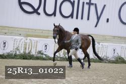 25R13_01022 thumbnail