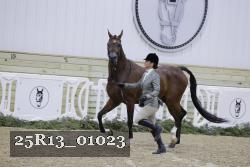25R13_01023 thumbnail