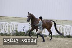 25R13_01024 thumbnail