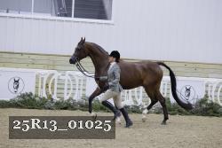 25R13_01025 thumbnail