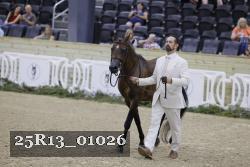 25R13_01026 thumbnail