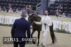 25R13_01027 thumbnail