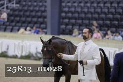 25R13_01028 thumbnail