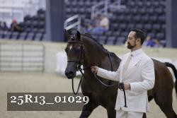 25R13_01029 thumbnail