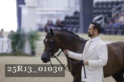 25R13_01030 thumbnail