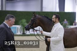 25R13_01031 thumbnail