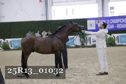 25R13_01032 thumbnail
