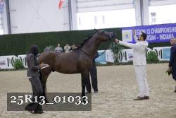 25R13_01033 thumbnail