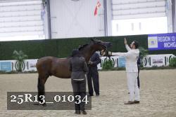 25R13_01034 thumbnail