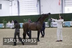 25R13_01035 thumbnail