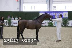 25R13_01037 thumbnail