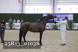 25R13_01038 thumbnail