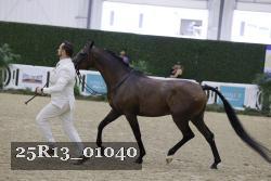 25R13_01040 thumbnail