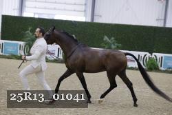 25R13_01041 thumbnail