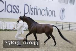 25R13_01043 thumbnail