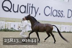 25R13_01044 thumbnail
