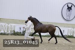25R13_01045 thumbnail