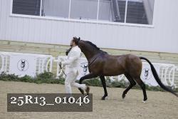 25R13_01046 thumbnail