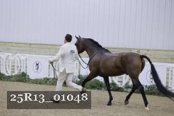 25R13_01048 thumbnail