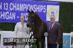 25R13_01057 thumbnail