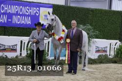 25R13_01066 thumbnail