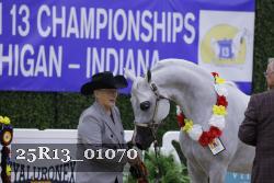 25R13_01070 thumbnail
