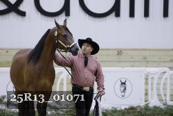 25R13_01071 thumbnail