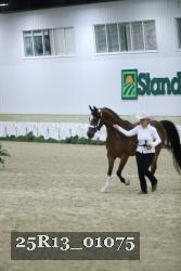 25R13_01075 thumbnail