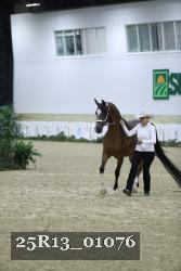 25R13_01076 thumbnail