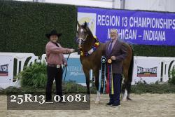 25R13_01081 thumbnail